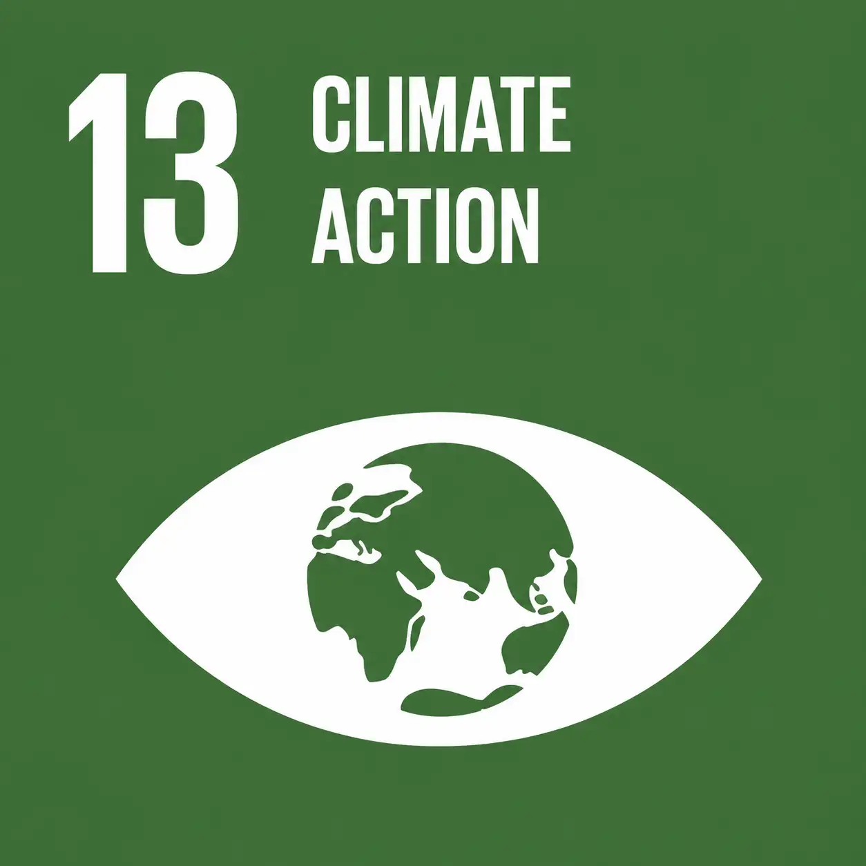 SDG 13 Climate Action